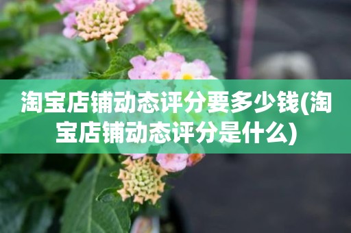 淘宝店铺动态评分要多少钱(淘宝店铺动态评分是什么)