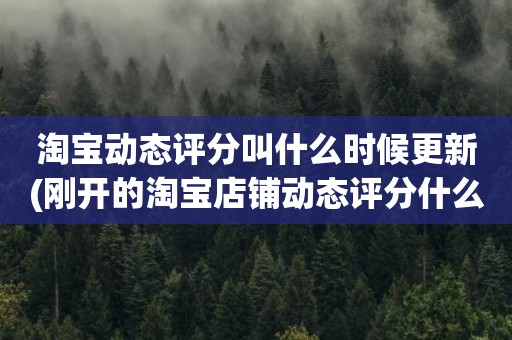 淘宝动态评分叫什么时候更新(刚开的淘宝店铺动态评分什么时候开始显示)