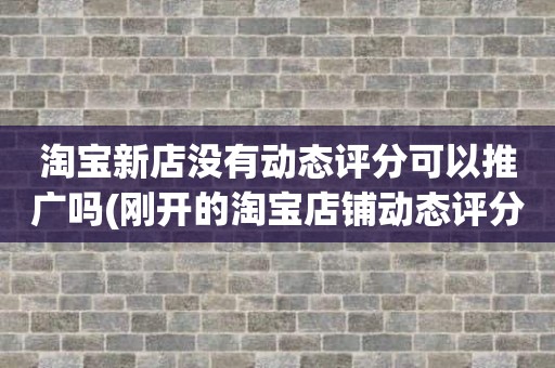 淘宝新店没有动态评分可以推广吗(刚开的淘宝店铺动态评分什么时候开始显示)