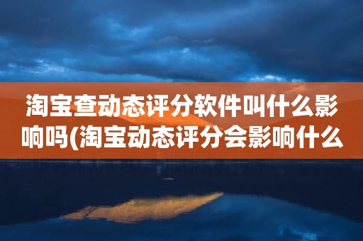 淘宝查动态评分软件叫什么影响吗(淘宝动态评分会影响什么)