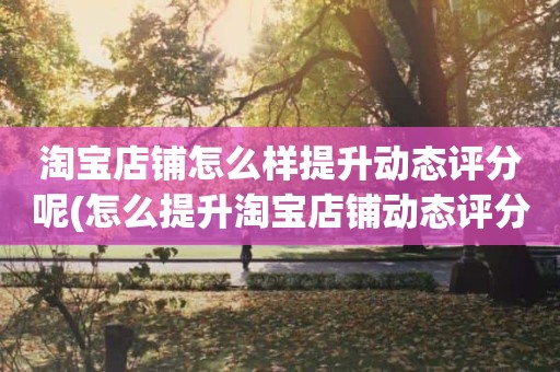 淘宝店铺怎么样提升动态评分呢(怎么提升淘宝店铺动态评分)