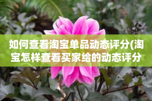 如何查看淘宝单品动态评分(淘宝怎样查看买家给的动态评分)