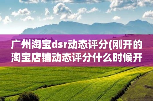广州淘宝dsr动态评分(刚开的淘宝店铺动态评分什么时候开始显示)