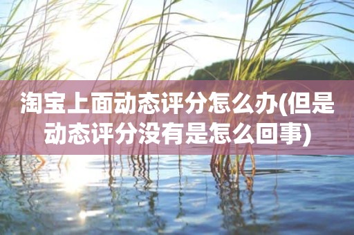 淘宝上面动态评分怎么办(但是动态评分没有是怎么回事)