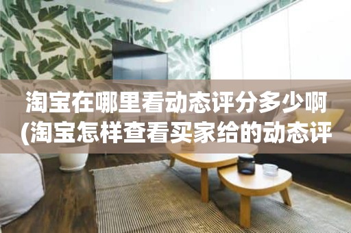 淘宝在哪里看动态评分多少啊(淘宝怎样查看买家给的动态评分)