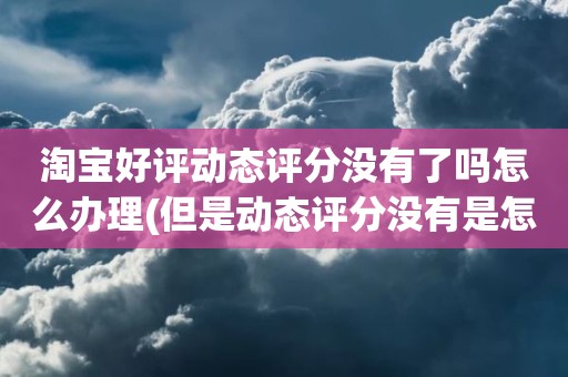 淘宝好评动态评分没有了吗怎么办理(但是动态评分没有是怎么回事)
