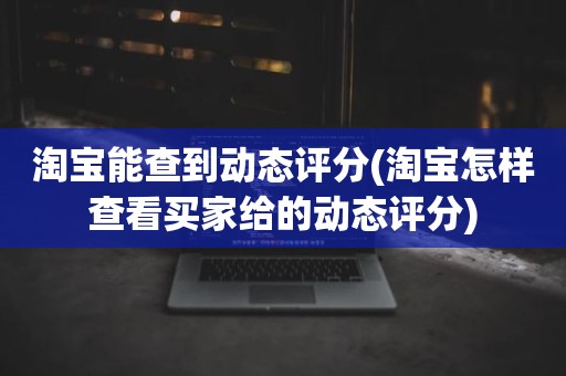 淘宝能查到动态评分(淘宝怎样查看买家给的动态评分)