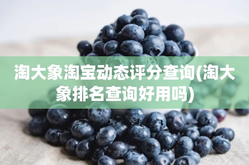 淘大象淘宝动态评分查询(淘大象排名查询好用吗)