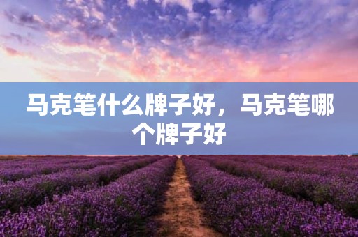 马克笔什么牌子好，马克笔哪个牌子好
