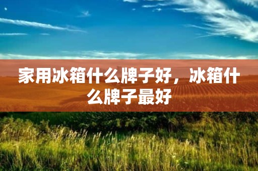 家用冰箱什么牌子好，冰箱什么牌子最好