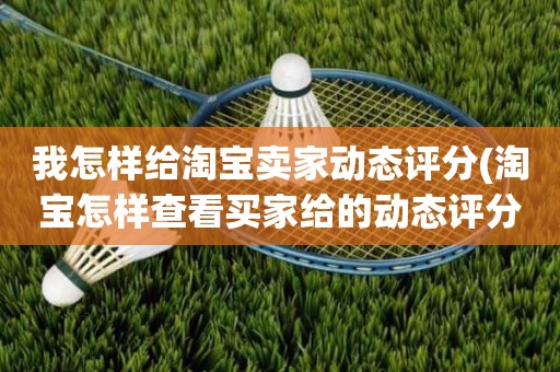 我怎样给淘宝卖家动态评分(淘宝怎样查看买家给的动态评分)