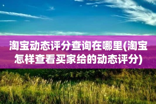 淘宝动态评分查询在哪里(淘宝怎样查看买家给的动态评分)