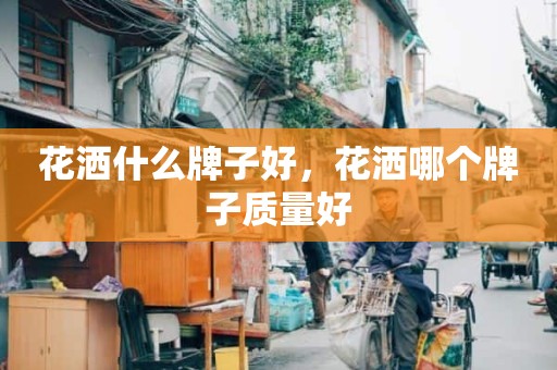 花洒什么牌子好，花洒哪个牌子质量好