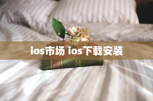ios市场 ios下载安装