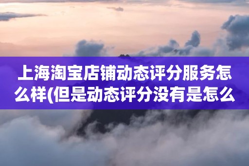 上海淘宝店铺动态评分服务怎么样(但是动态评分没有是怎么回事)