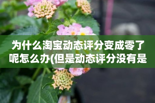 为什么淘宝动态评分变成零了呢怎么办(但是动态评分没有是怎么回事)