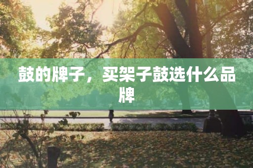鼓的牌子，买架子鼓选什么品牌