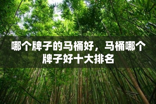 哪个牌子的马桶好，马桶哪个牌子好十大排名