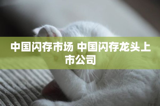 中国闪存市场 中国闪存龙头上市公司