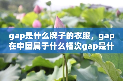 gap是什么牌子的衣服，gap在中国属于什么档次gap是什么牌子的衣服