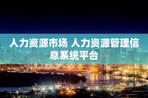 人力资源市场 人力资源管理信息系统平台