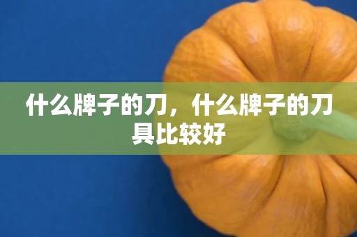 什么牌子的刀，什么牌子的刀具比较好