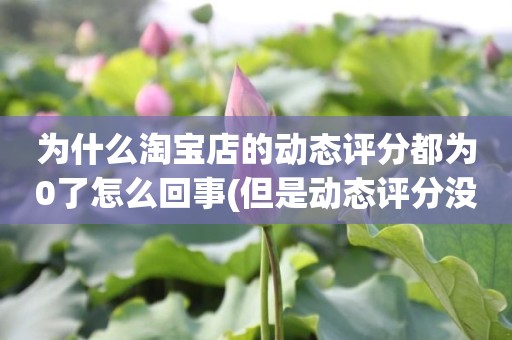为什么淘宝店的动态评分都为0了怎么回事(但是动态评分没有是怎么回事)