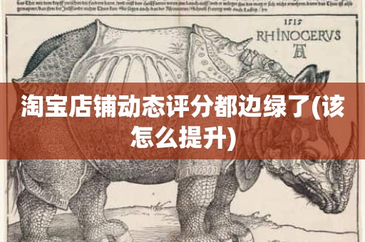 淘宝店铺动态评分都边绿了(该怎么提升)