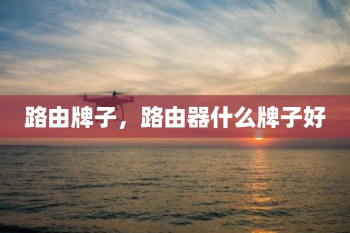 路由牌子，路由器什么牌子好