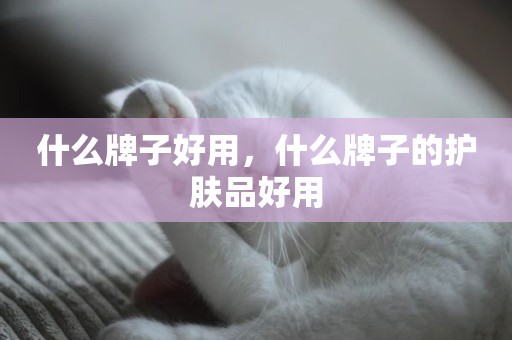 什么牌子好用，什么牌子的护肤品好用