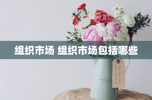 组织市场 组织市场包括哪些