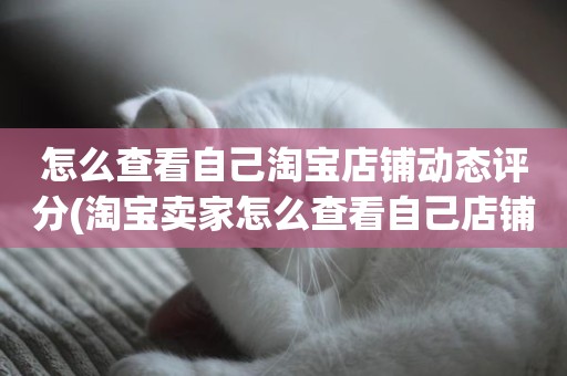 怎么查看自己淘宝店铺动态评分(淘宝卖家怎么查看自己店铺的动态评分及服务情况)