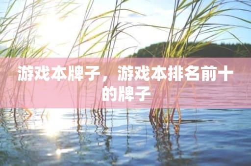 游戏本牌子，游戏本排名前十的牌子