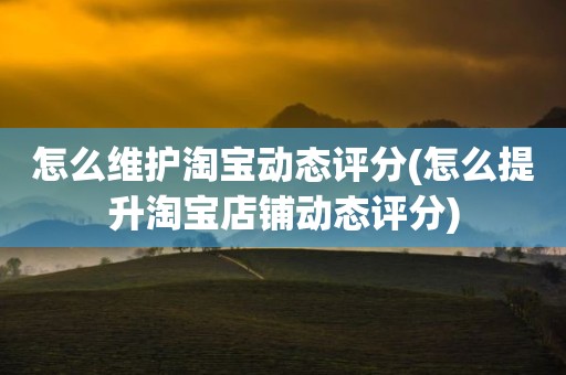 怎么维护淘宝动态评分(怎么提升淘宝店铺动态评分)
