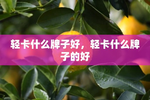 轻卡什么牌子好，轻卡什么牌子的好