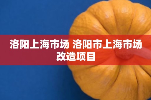 洛阳上海市场 洛阳市上海市场改造项目
