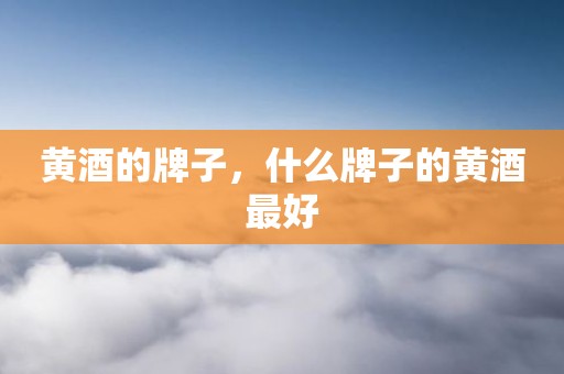 黄酒的牌子，什么牌子的黄酒最好