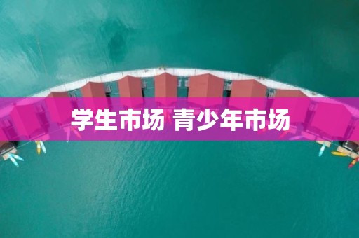 学生市场 青少年市场