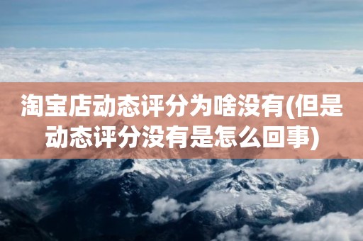 淘宝店动态评分为啥没有(但是动态评分没有是怎么回事)