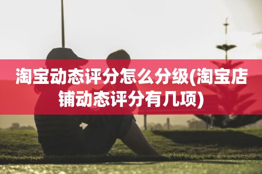 淘宝动态评分怎么分级(淘宝店铺动态评分有几项)