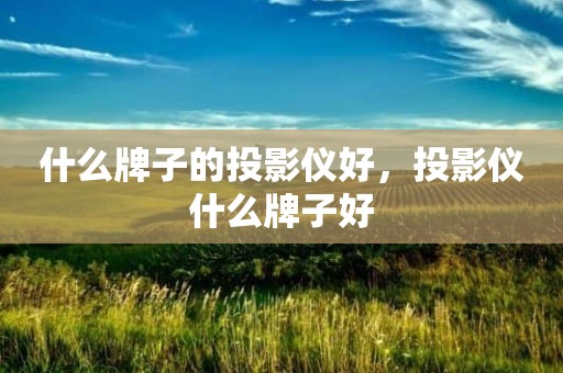 什么牌子的投影仪好，投影仪什么牌子好