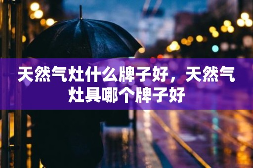 天然气灶什么牌子好，天然气灶具哪个牌子好