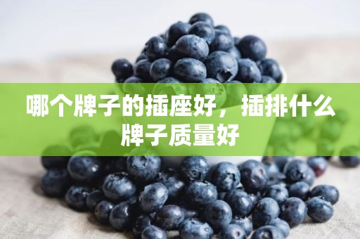 哪个牌子的插座好，插排什么牌子质量好