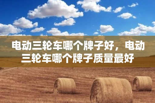 电动三轮车哪个牌子好，电动三轮车哪个牌子质量最好