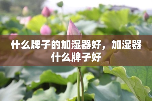 什么牌子的加湿器好，加湿器什么牌子好