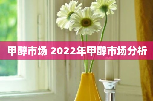 甲醇市场 2022年甲醇市场分析
