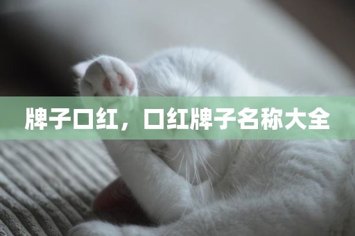 牌子口红，口红牌子名称大全