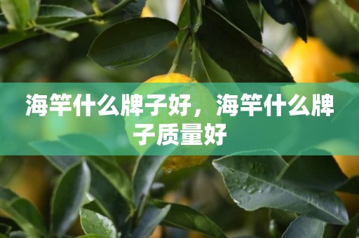 海竿什么牌子好，海竿什么牌子质量好