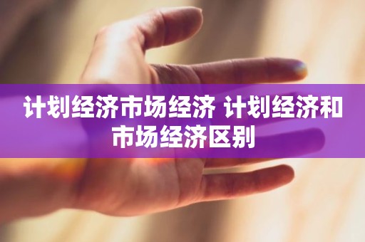 计划经济市场经济 计划经济和市场经济区别