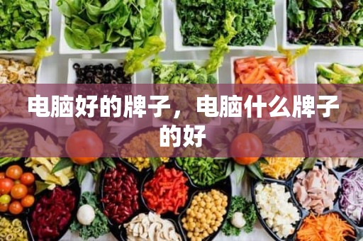 电脑好的牌子，电脑什么牌子的好